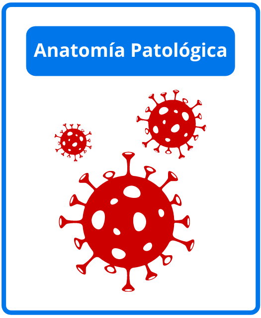 Descargar libros de anatomía patológica