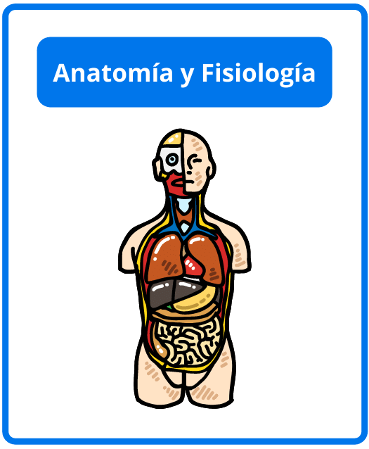 Descargar libros de anatomía y fisiología