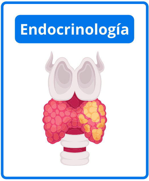 Descargar libros de endocrinología