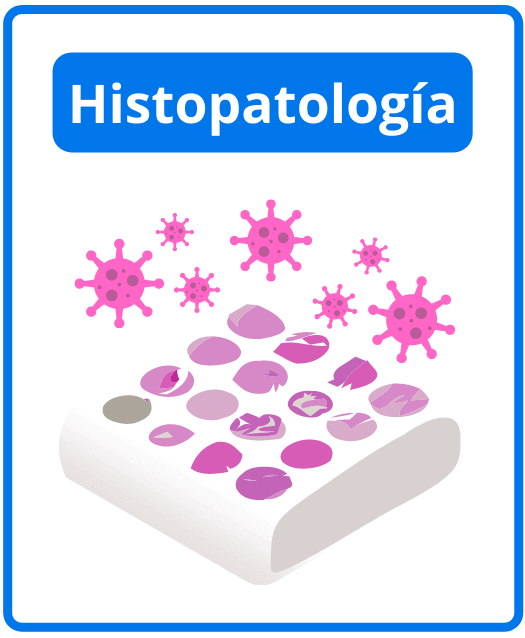 Descargar libros de histopatología