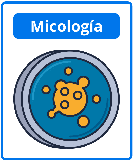 Descargar libros de micología