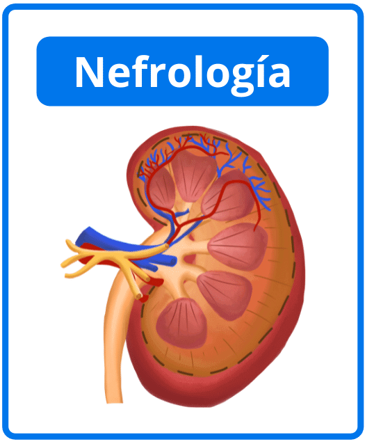 Descargar libros de nefrología