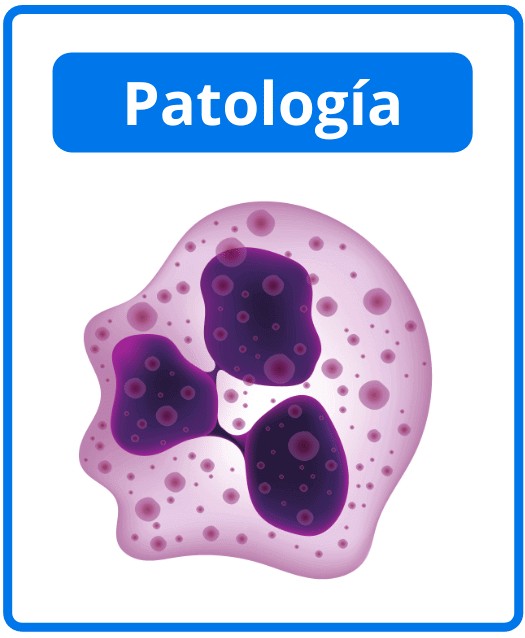 Descargar libros de patología