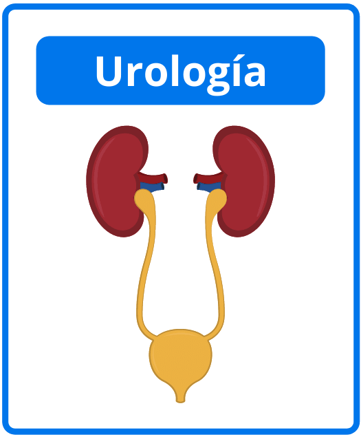 Descargar libros de urología